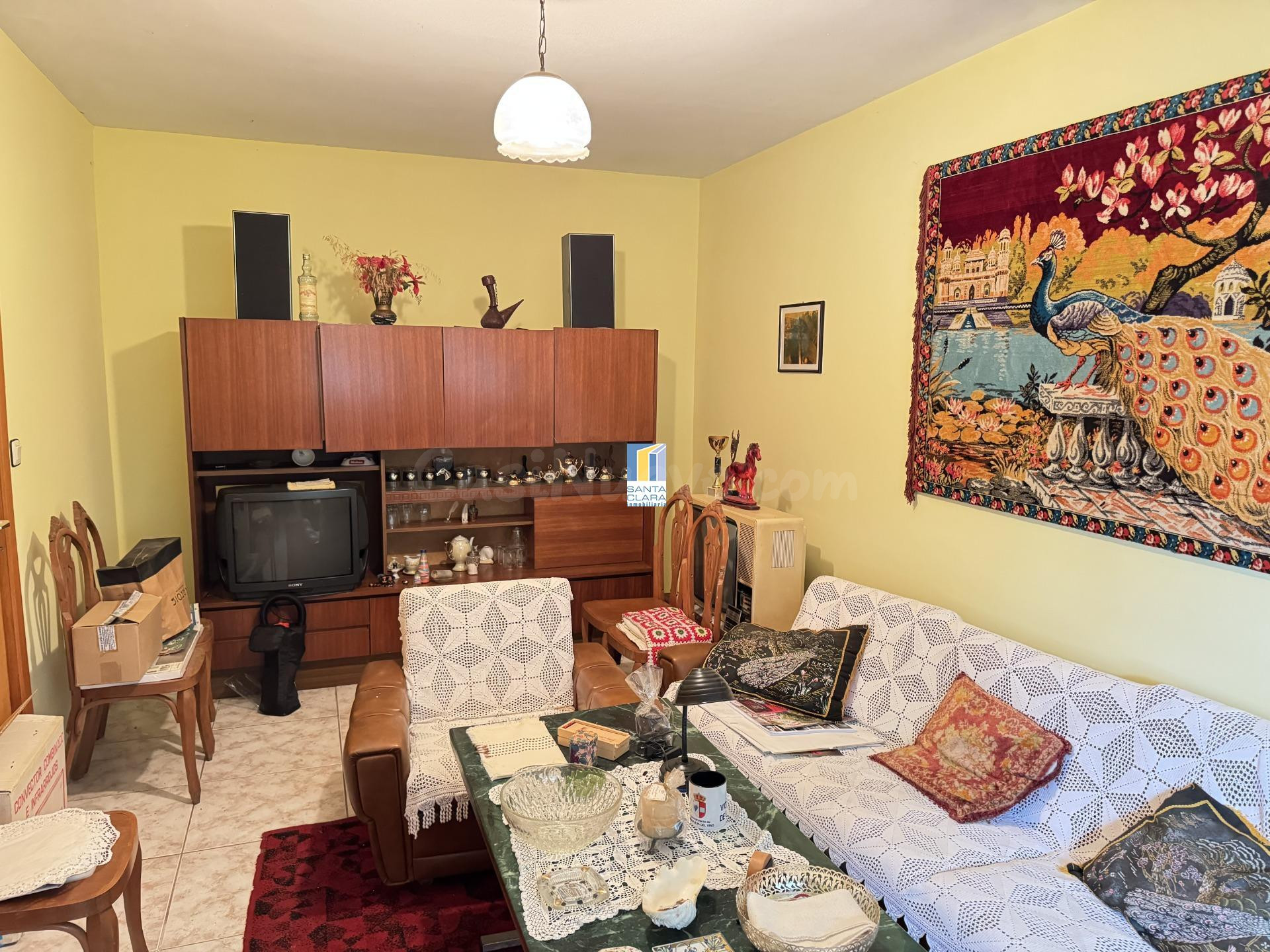 FINCA DE REGADÍO EN VENTA CON CASA EN ZONA CARRETERA DE CORE - foto 5