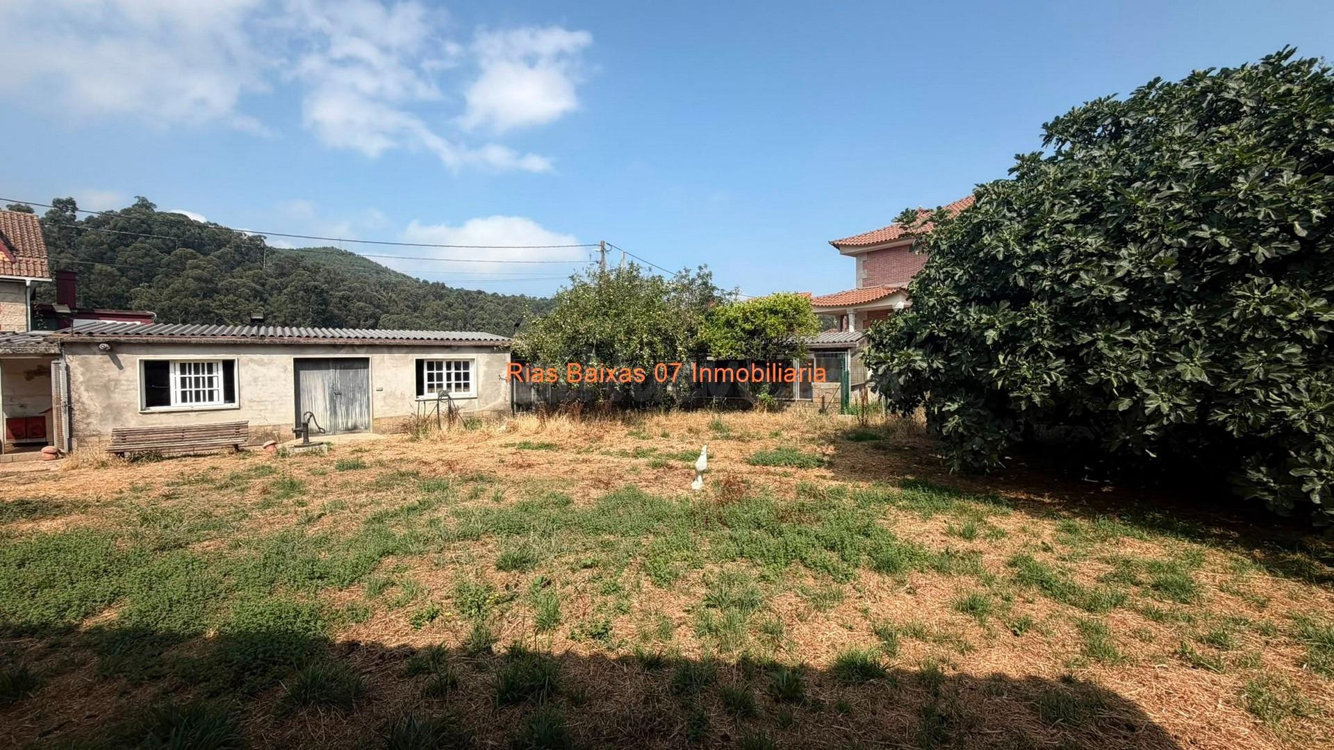 REF 4277 CASA PARA REMATAR PLANTA BAJA CON ANEXOS Y JARDIN C - foto 2
