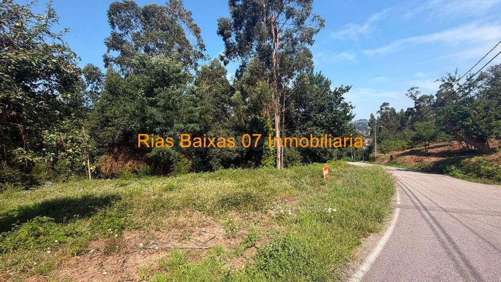 REF 4279 TERRENO RÚSTICO 744m2 TAMEIGA ( MOS ) - foto 4