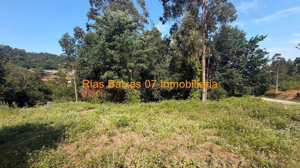 REF 4279 TERRENO RÚSTICO 744m2 TAMEIGA ( MOS ) - foto 5