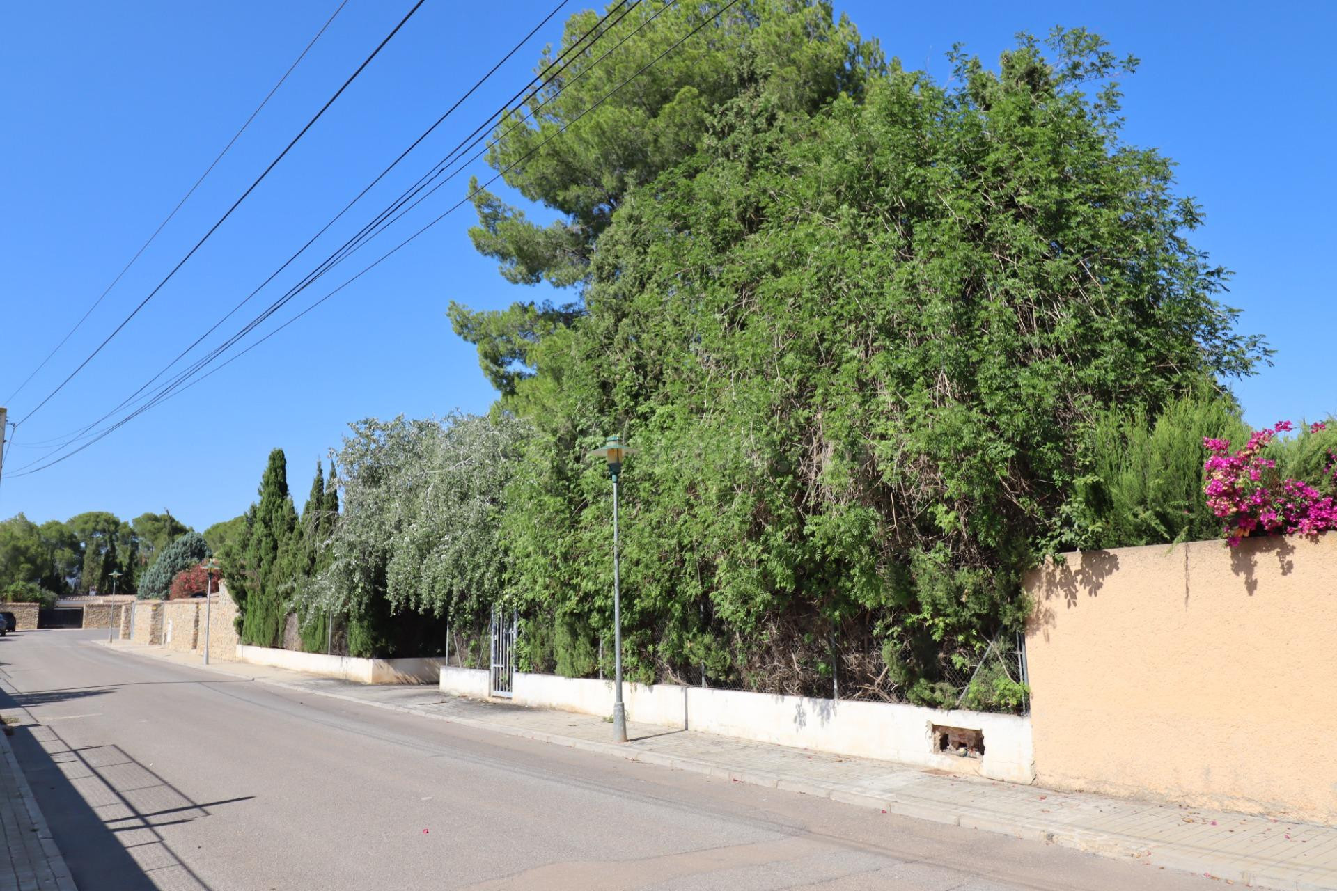 Parcela en la urbanización La Masía - foto 2
