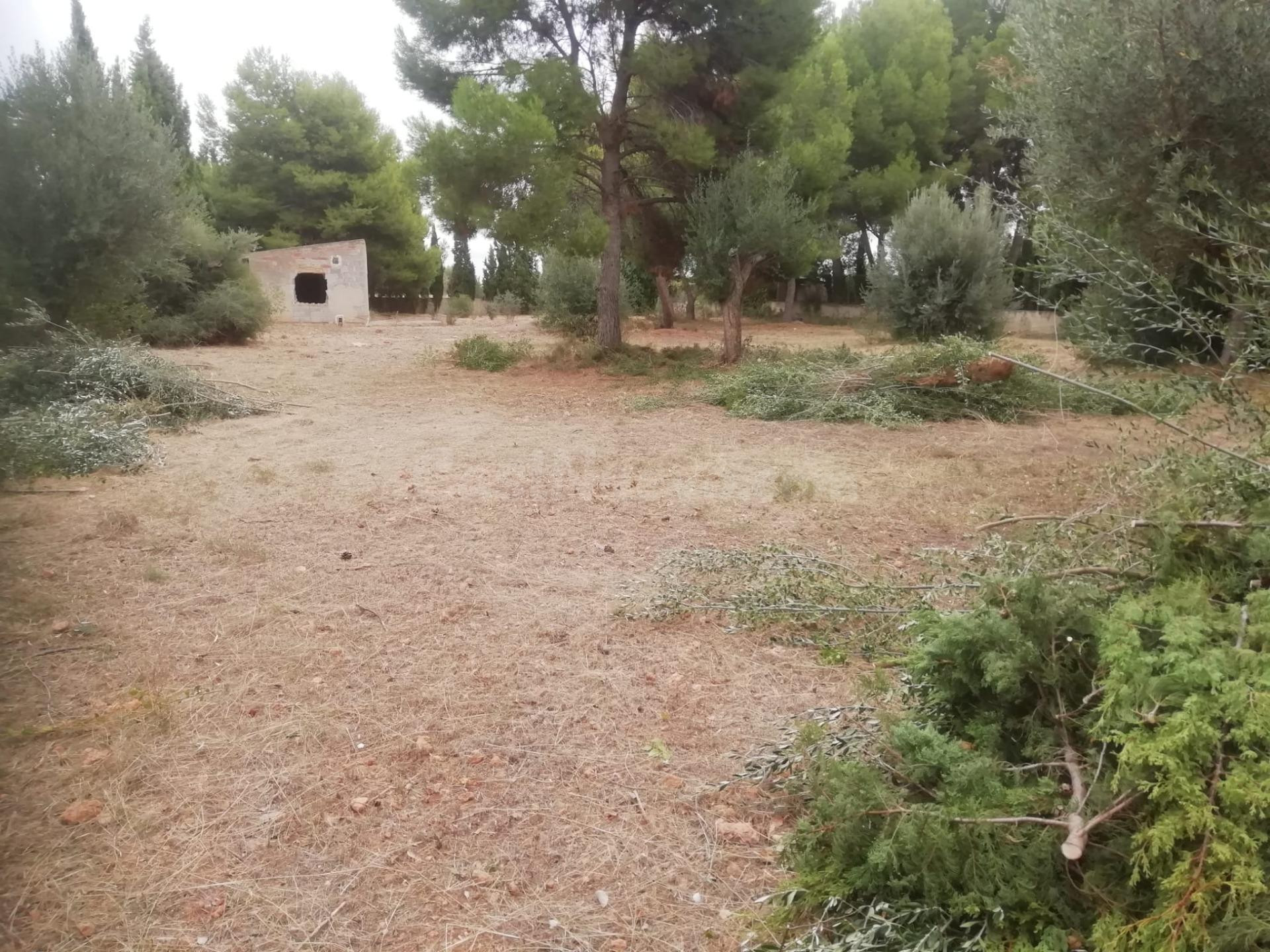 Parcela en la urbanización La Masía - foto 3