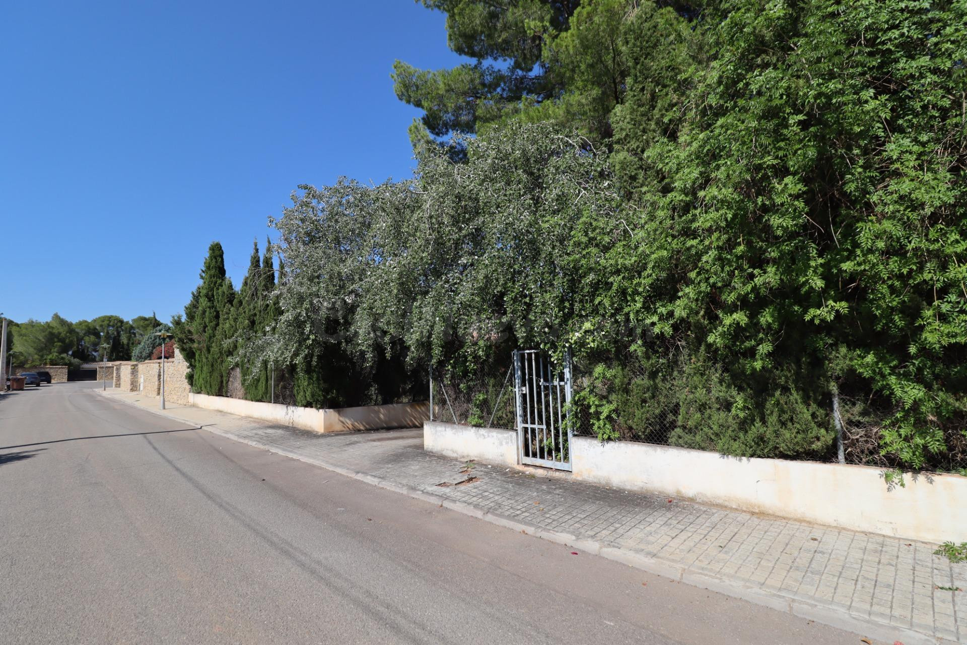 Parcela en la urbanización La Masía - foto 4