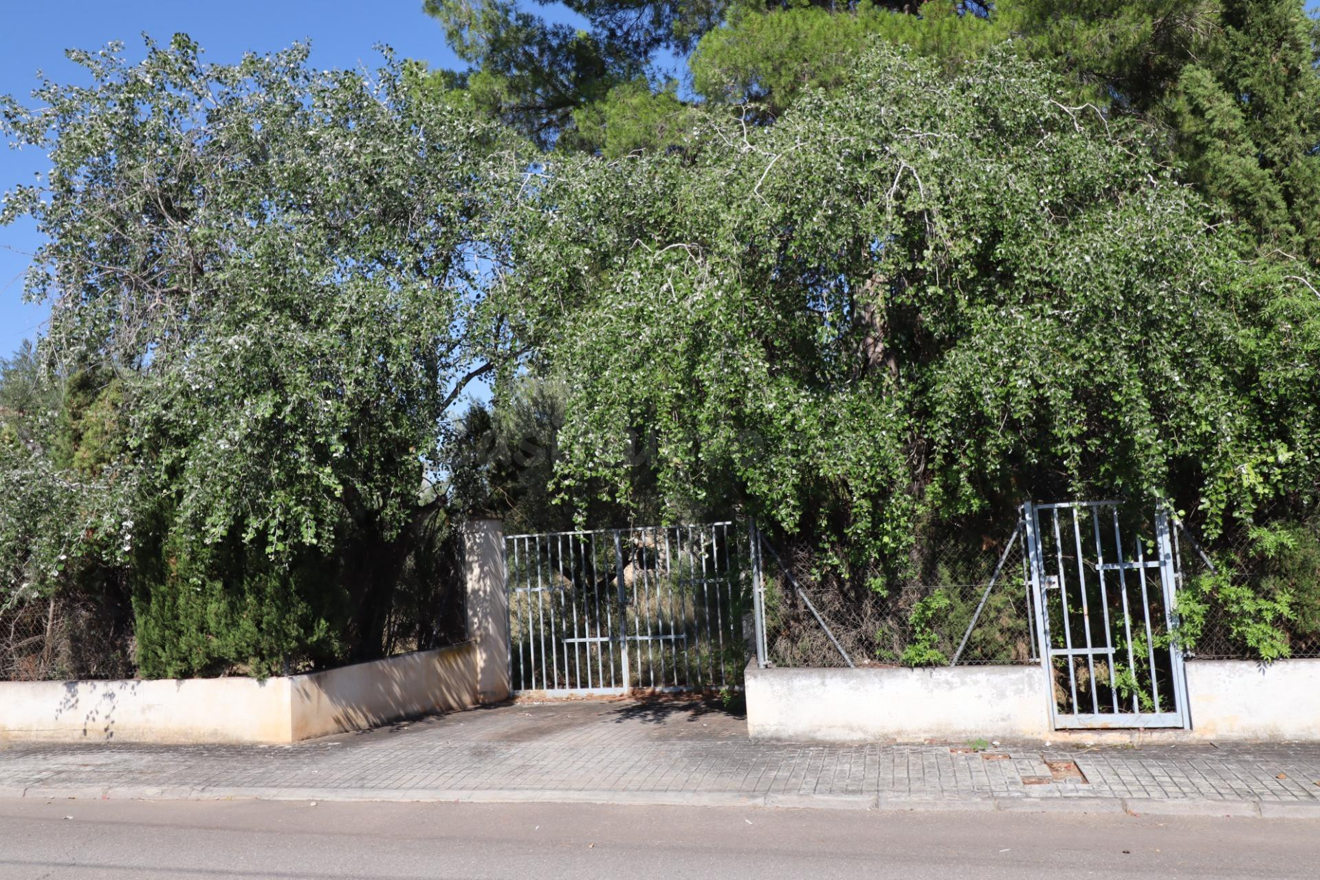 Parcela en la urbanización La Masía