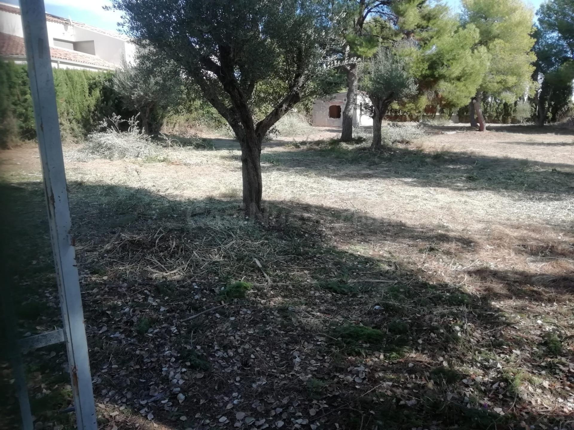 Parcela en la urbanización La Masía - foto 2