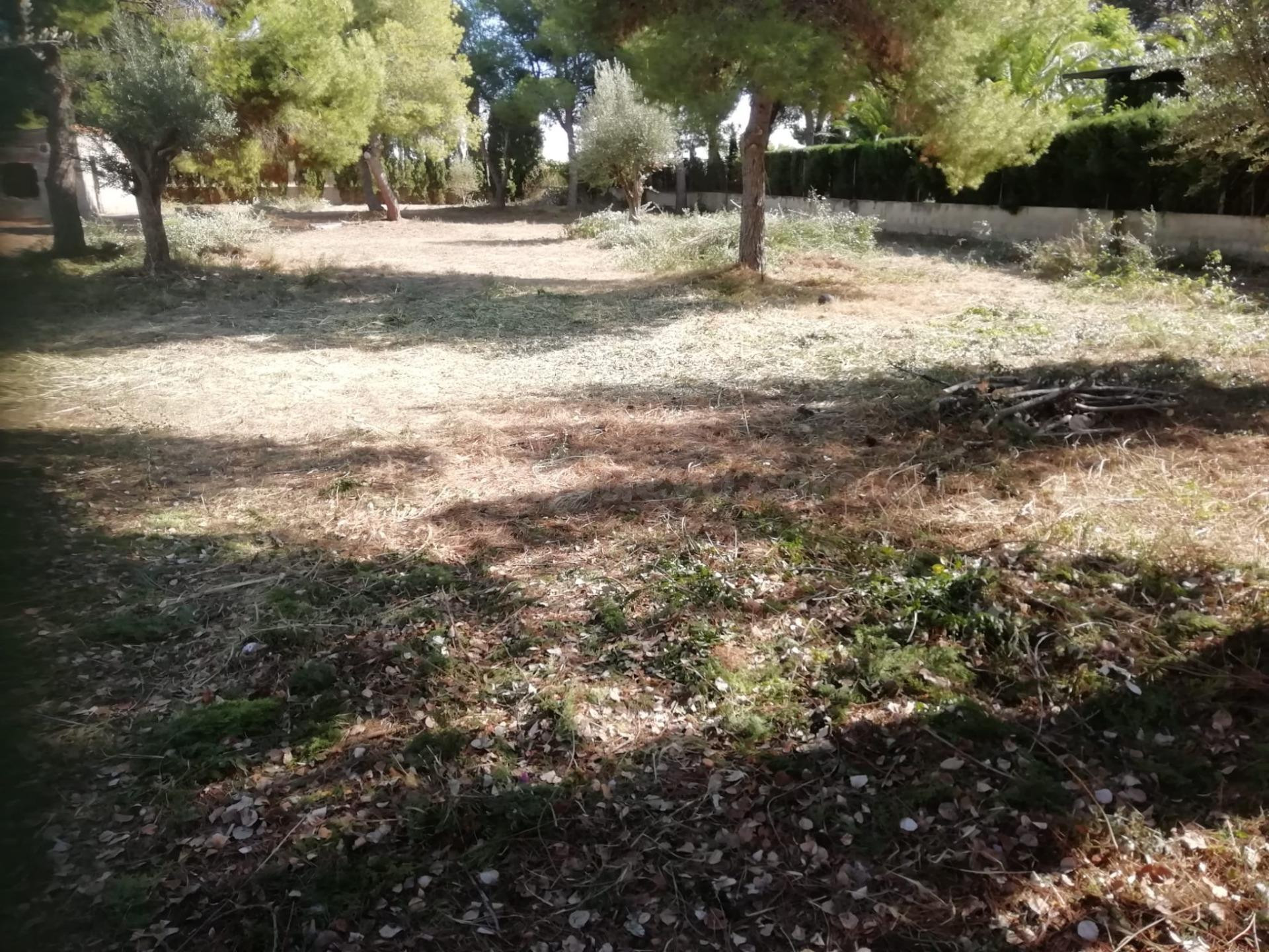 Parcela en la urbanización La Masía - foto 3