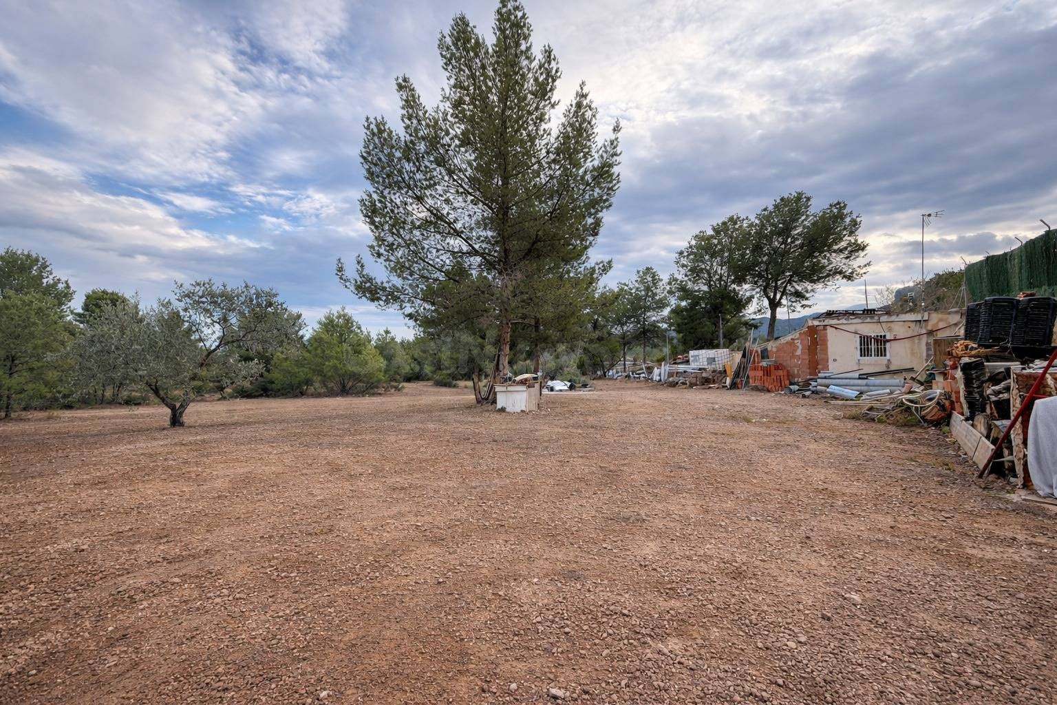 Parcela en urbanización Finca Terol