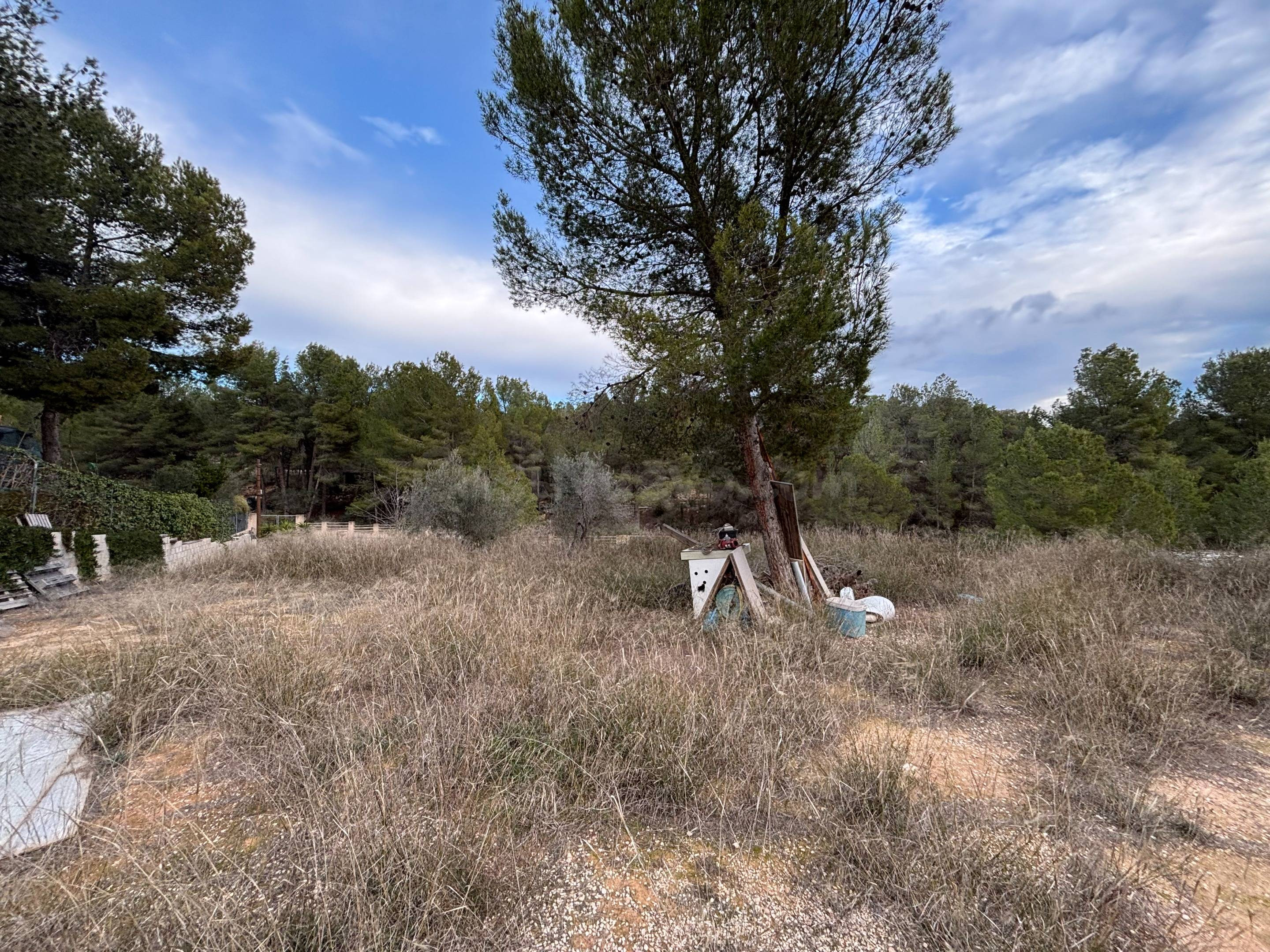 Parcela en urbanización Finca Terol - foto 2