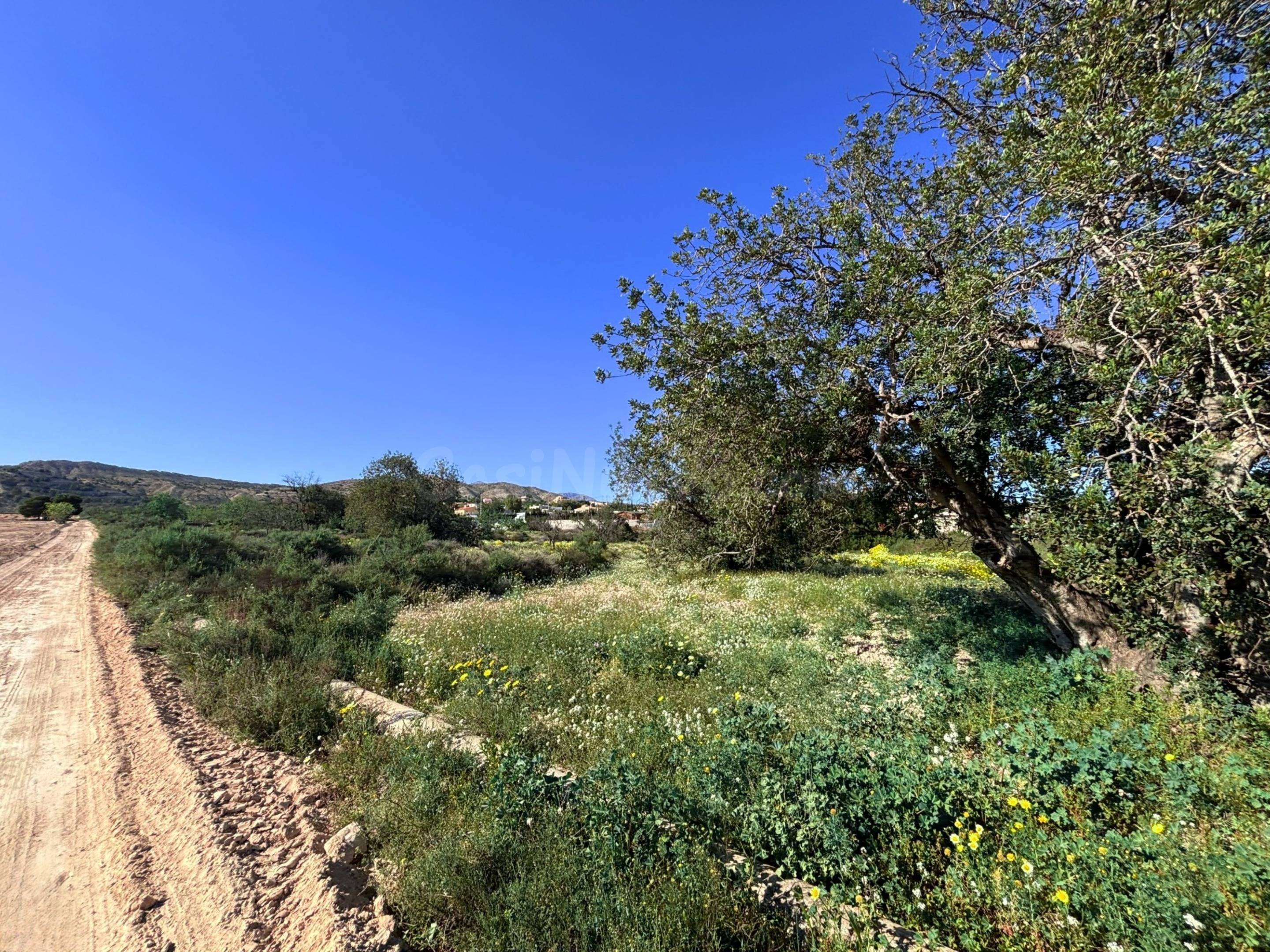 Parcela rústica de 38.780 m2 en El Moralet, Alicante, a 5 km