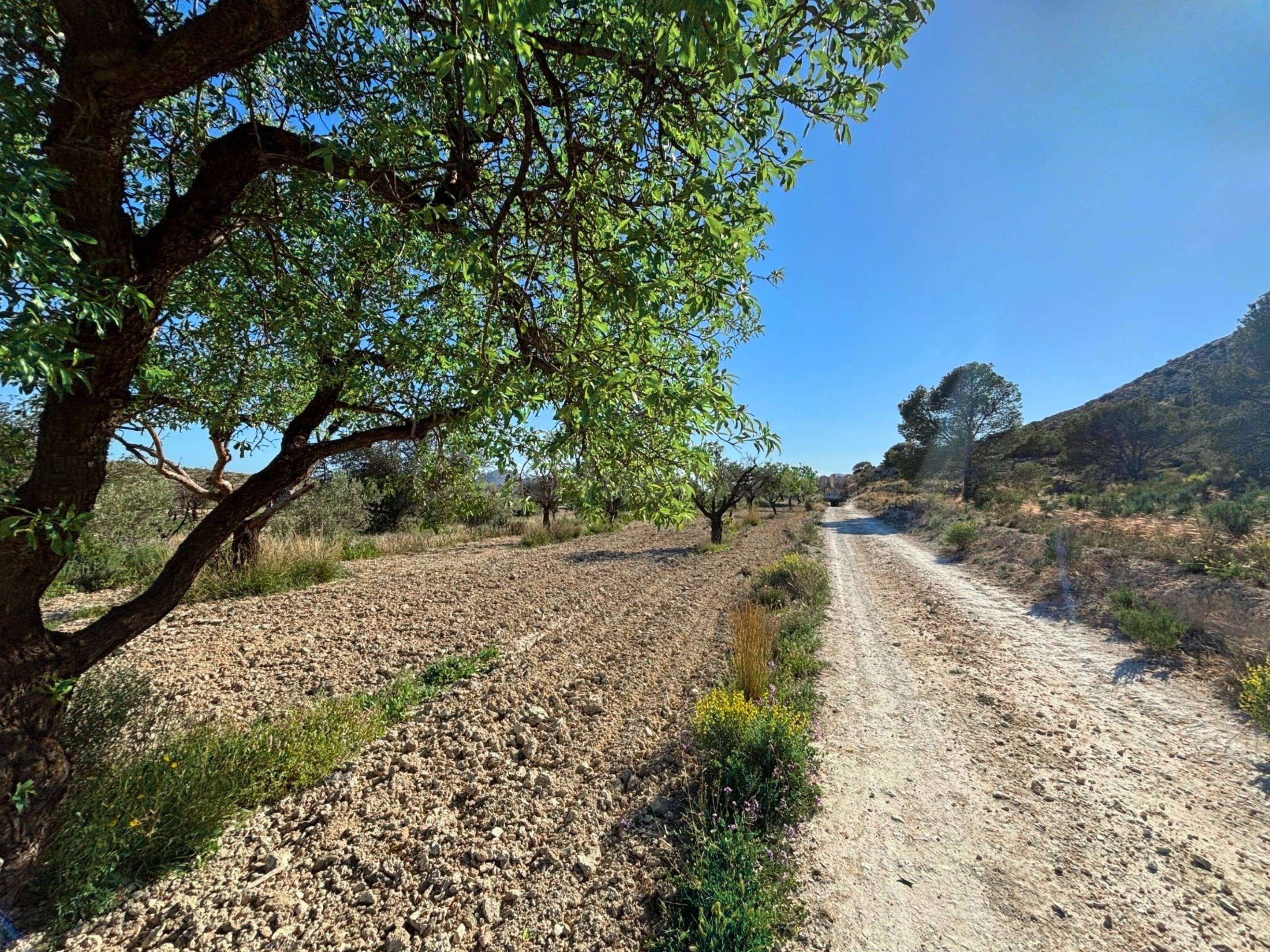 Parcela rústica de 19.216 m2 en El Moralet, Alicante, a unos - foto 3