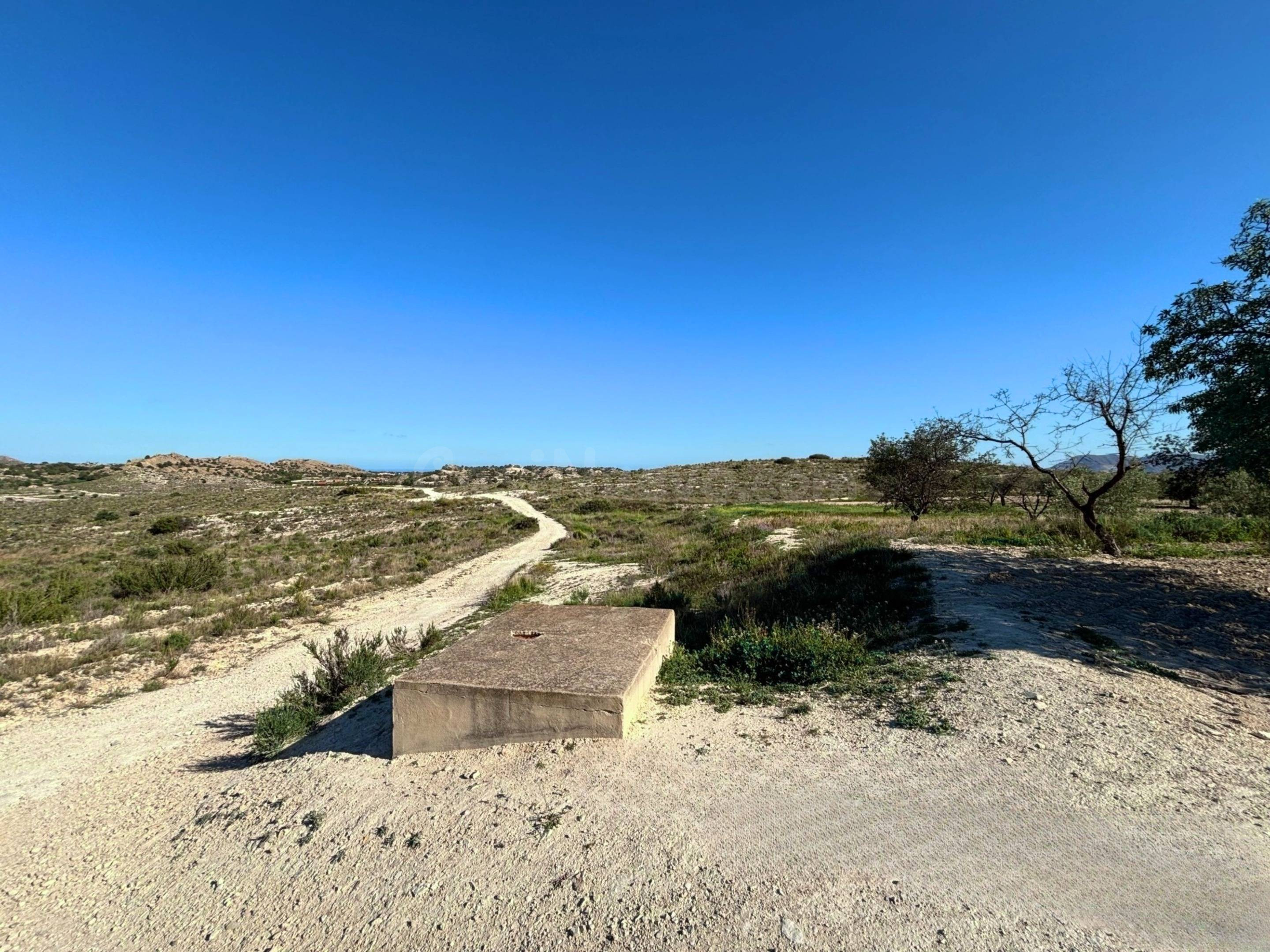 Parcela rústica de 19.216 m2 en El Moralet, Alicante, a unos - foto 5