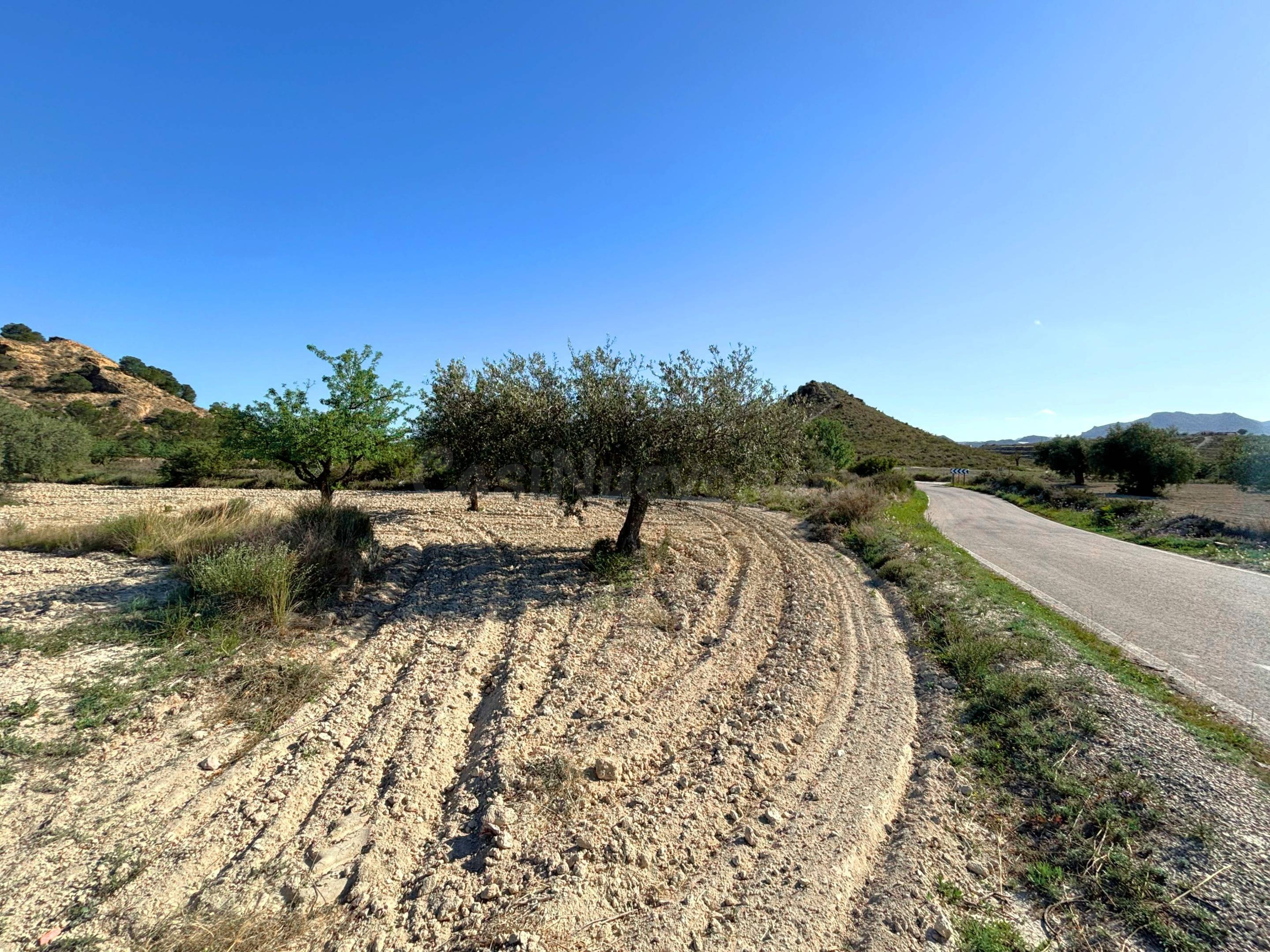 Parcela rústica de 25.566 m2 en El Moralet, Alicante