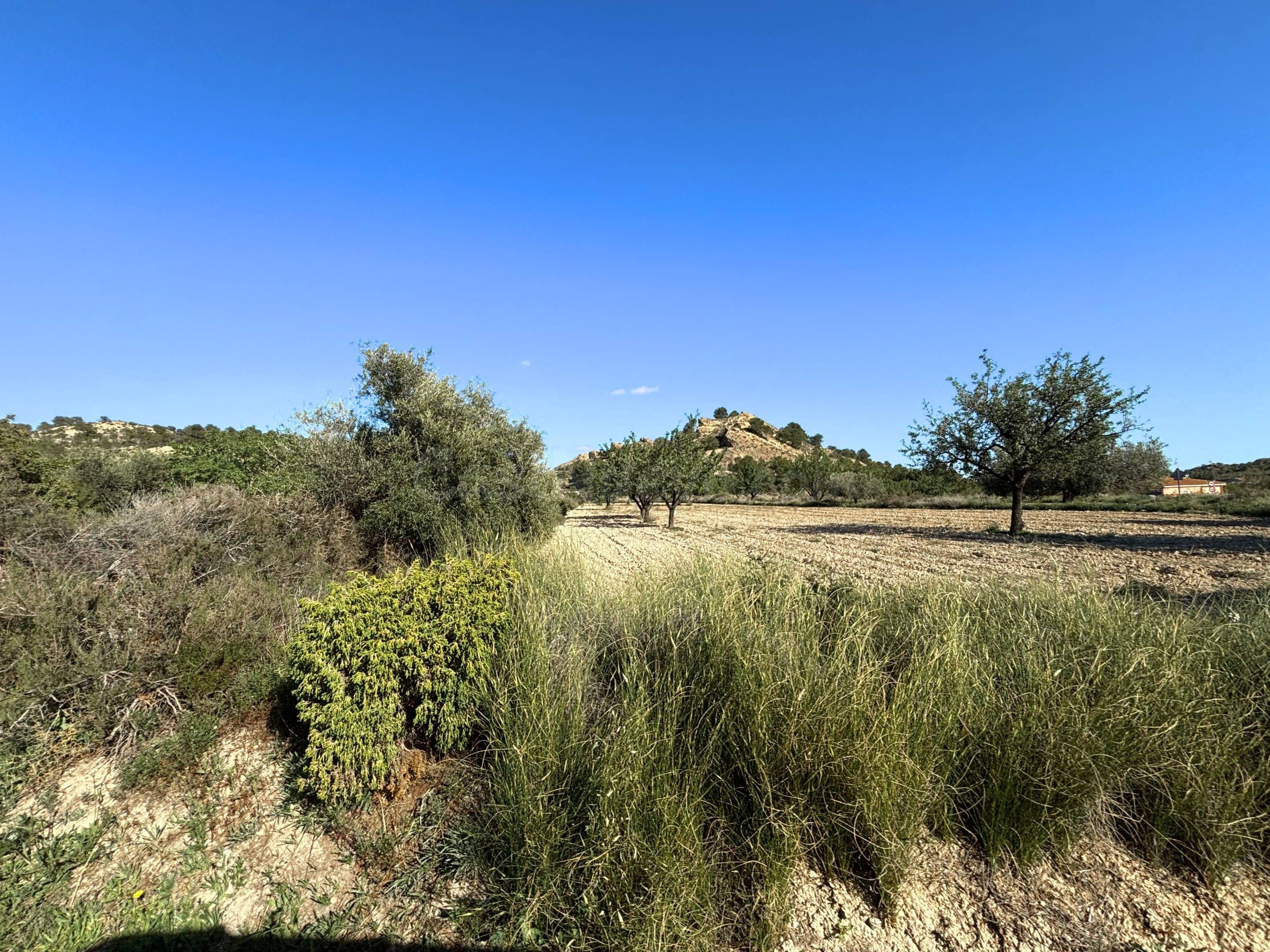 Parcela rústica de 25.566 m2 en El Moralet, Alicante - foto 2