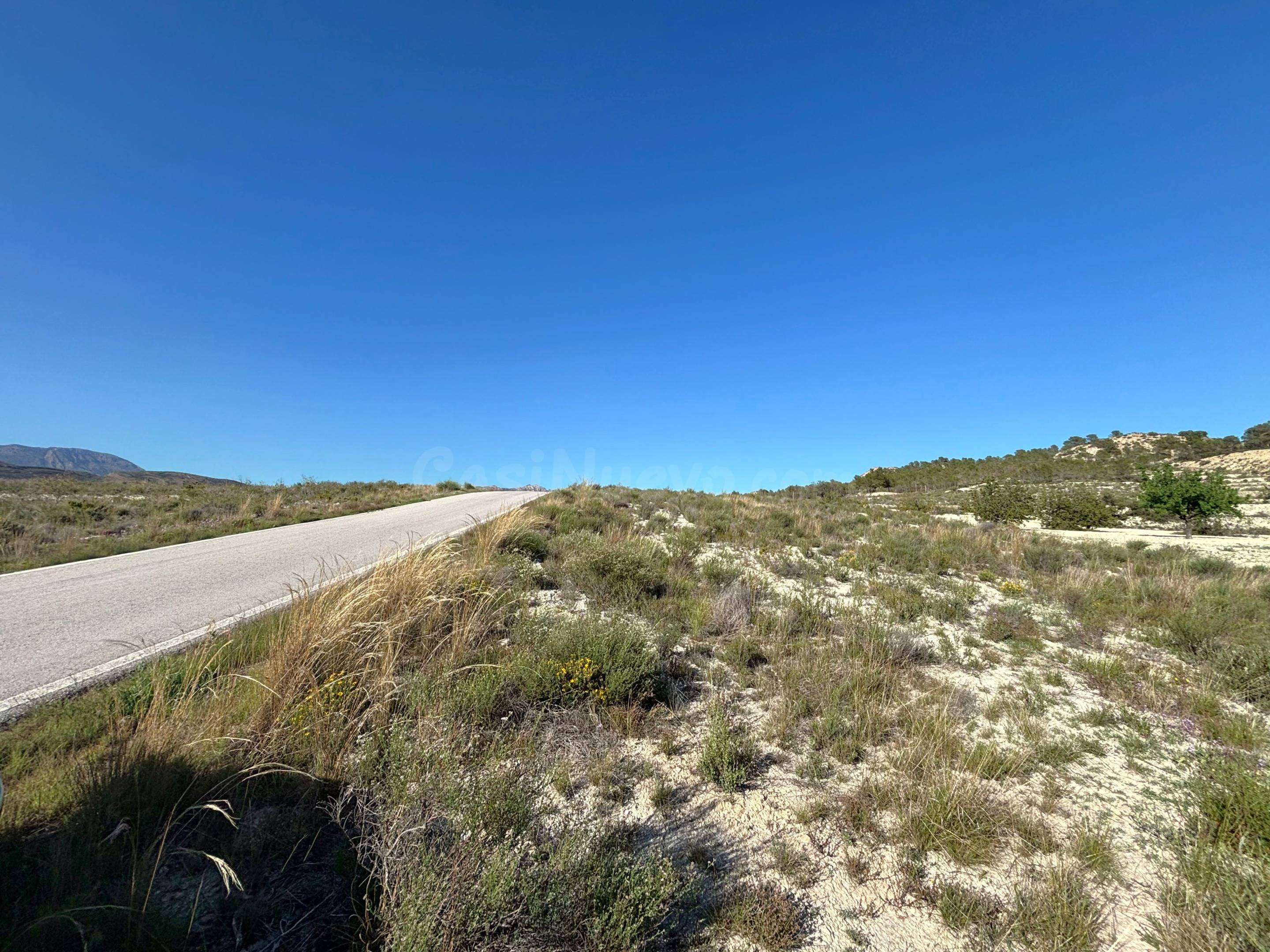 Parcela rústica de 25.566 m2 en El Moralet, Alicante - foto 3