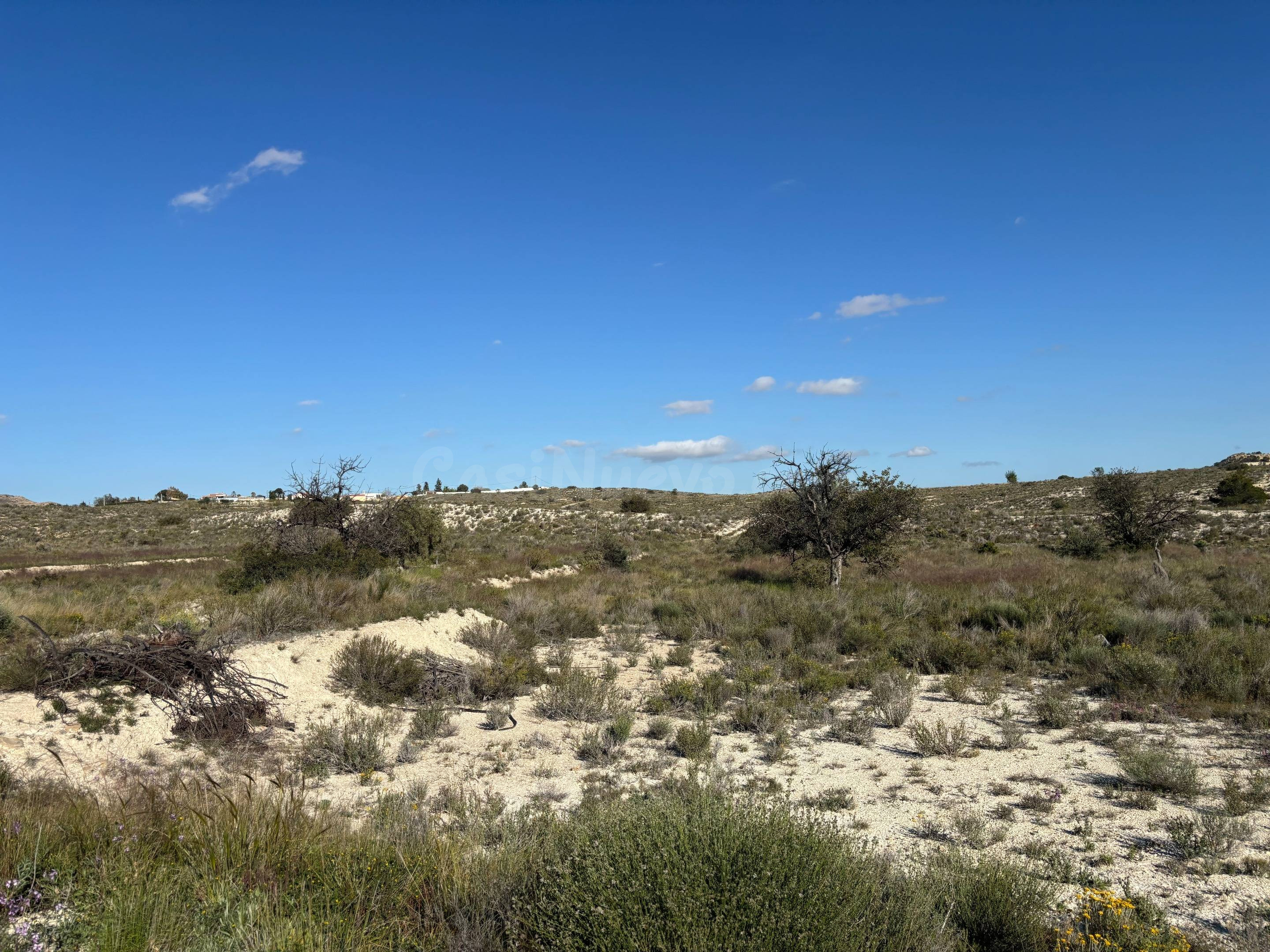 Parcela rústica en El Moralet, Alicante, a 5 km de San Vicen - foto 2