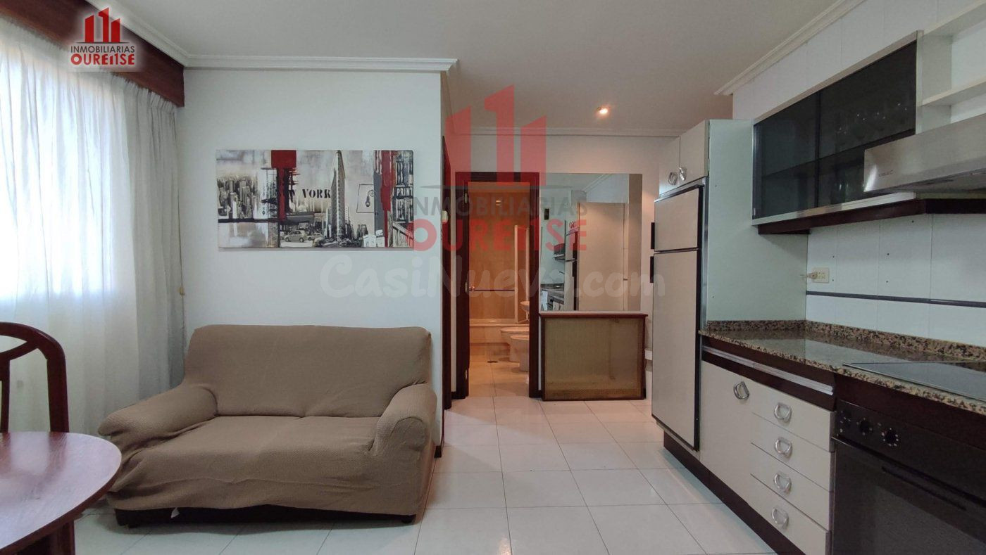 ESTUDIO AMUEBLADO EN LA ZONA DEL COUTO (DISPONIBLE EL 1 DE N - foto 3