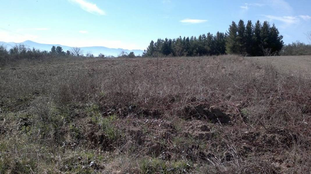 SE VENDE FINCA RUSTICA  DE 3200 m2
