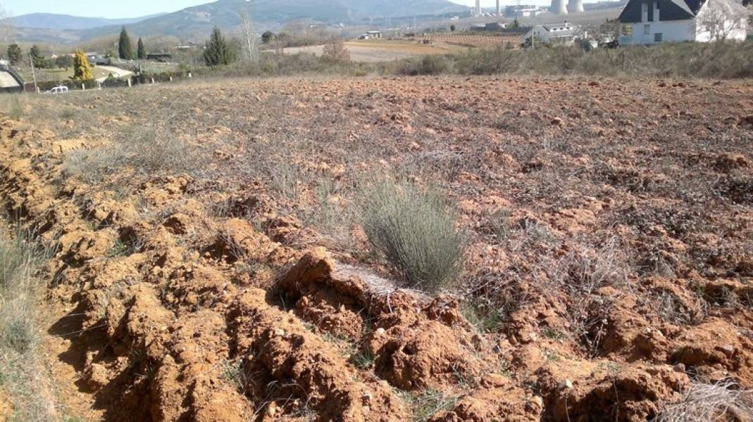 SE VENDE FINCA RUSTICA  DE 3200 m2 - foto 2