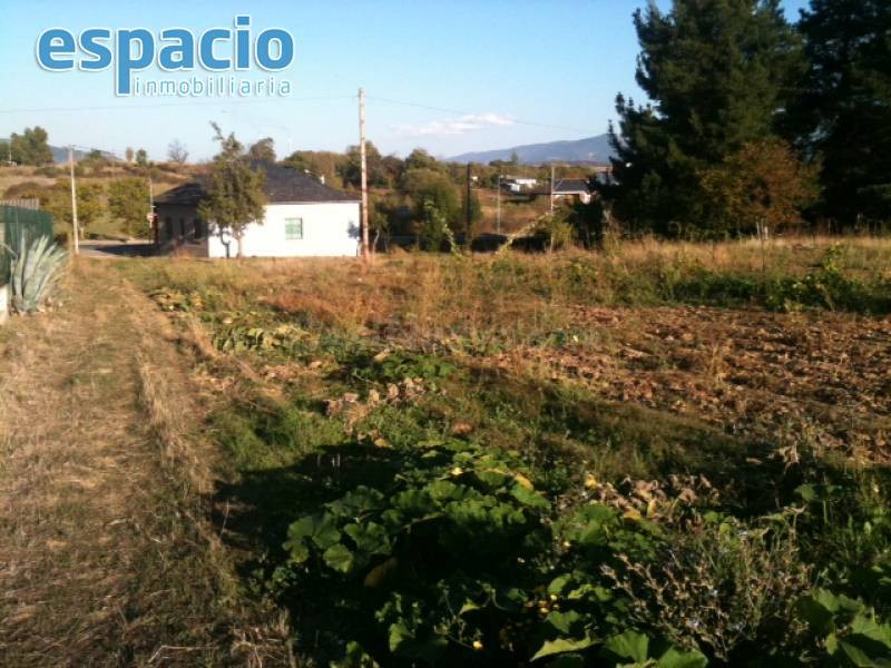 VENTA SOLAR URBANO CABAÑAS RARAS - foto 2