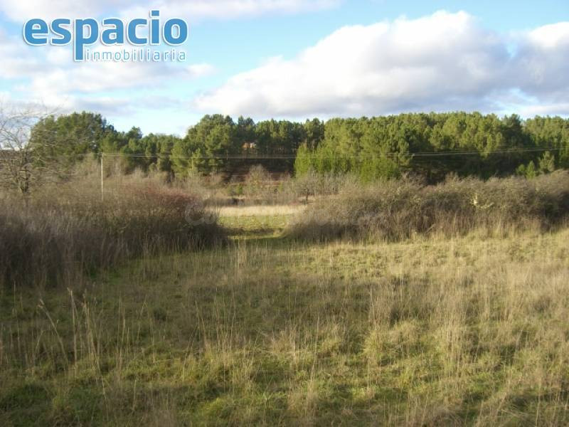 VENTA FINCA CUETO - foto 2