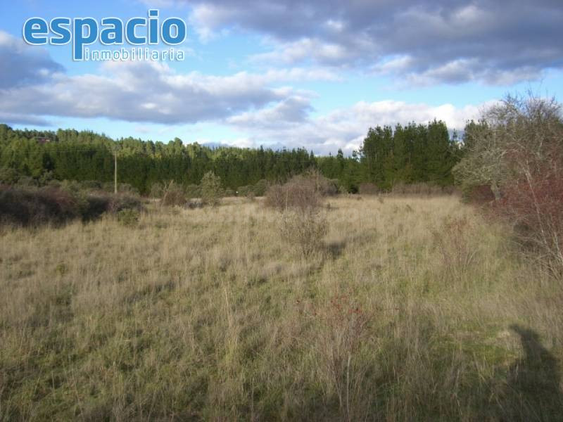 VENTA FINCA CUETO - foto 3