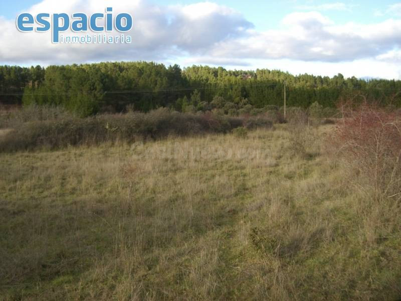 VENTA FINCA CUETO - foto 4
