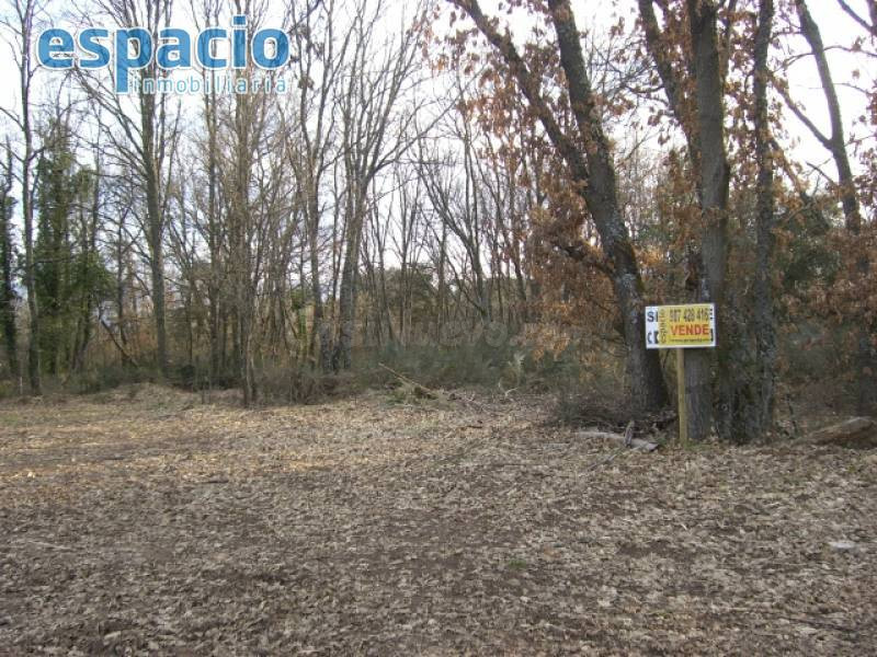 VENTA FINCA CUETO ZONA LA MATA - foto 2