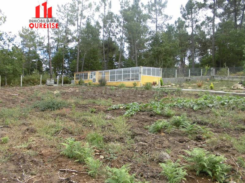 FINCA RUSTICA EN LA ZONA DE LA PEROXA PRÓXIMA A LA CIUDAD - foto 5