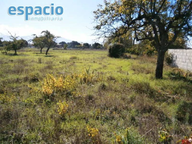 SE VENDE FINCA EN CACABELOS - foto 2