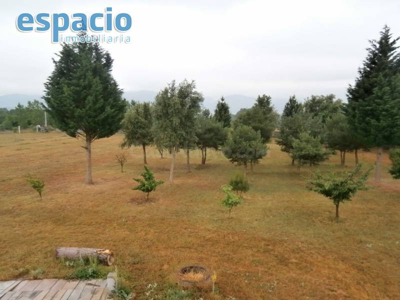 VENTA CHALET CON FINCA EN DEHESAS - foto 3
