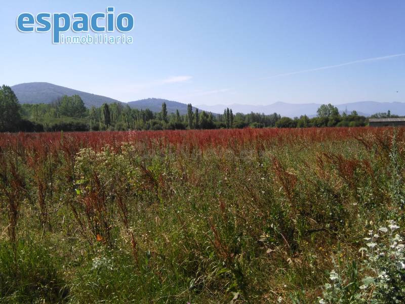 FINCA A LA VENTA EN BARCENA DEL BIERZO - foto 3