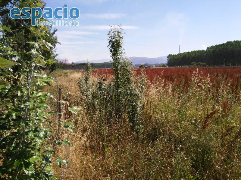 FINCA A LA VENTA EN BARCENA DEL BIERZO - foto 4