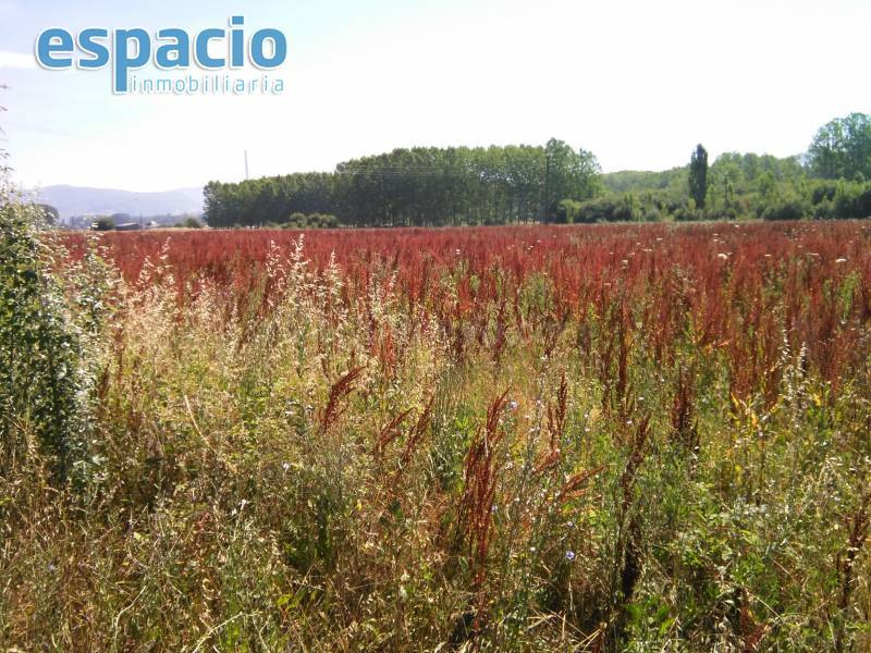 FINCA A LA VENTA EN BARCENA DEL BIERZO - foto 5