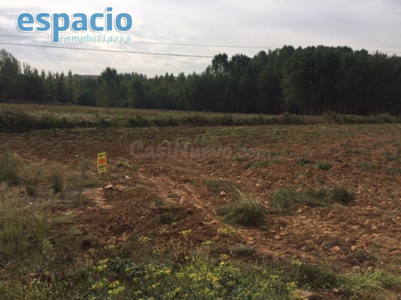 VENTA FINCA EDIFICABLE ARGANZA