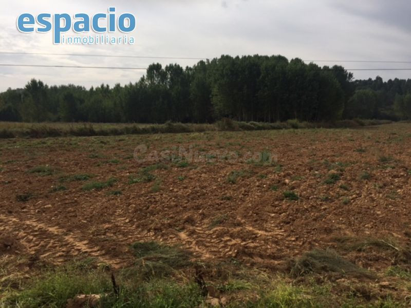 VENTA FINCA EDIFICABLE ARGANZA - foto 2
