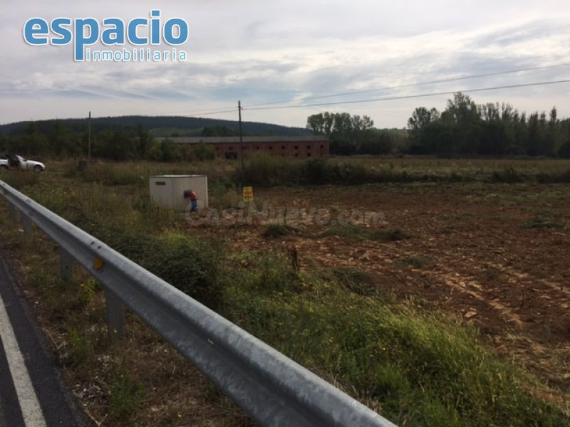 VENTA FINCA EDIFICABLE ARGANZA - foto 4