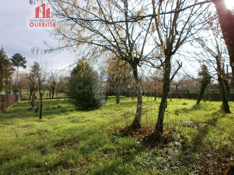 PAZO EN AMOEIRO PARA REFORMAR - foto 4