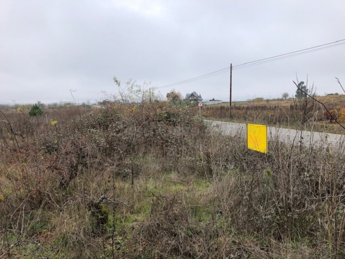 VENTA FINCA RUSTICA EN CACABELOS - foto 2