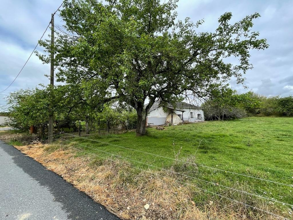 VENTA FINCA URBANA EN CABAÑAS RARAS - foto 3