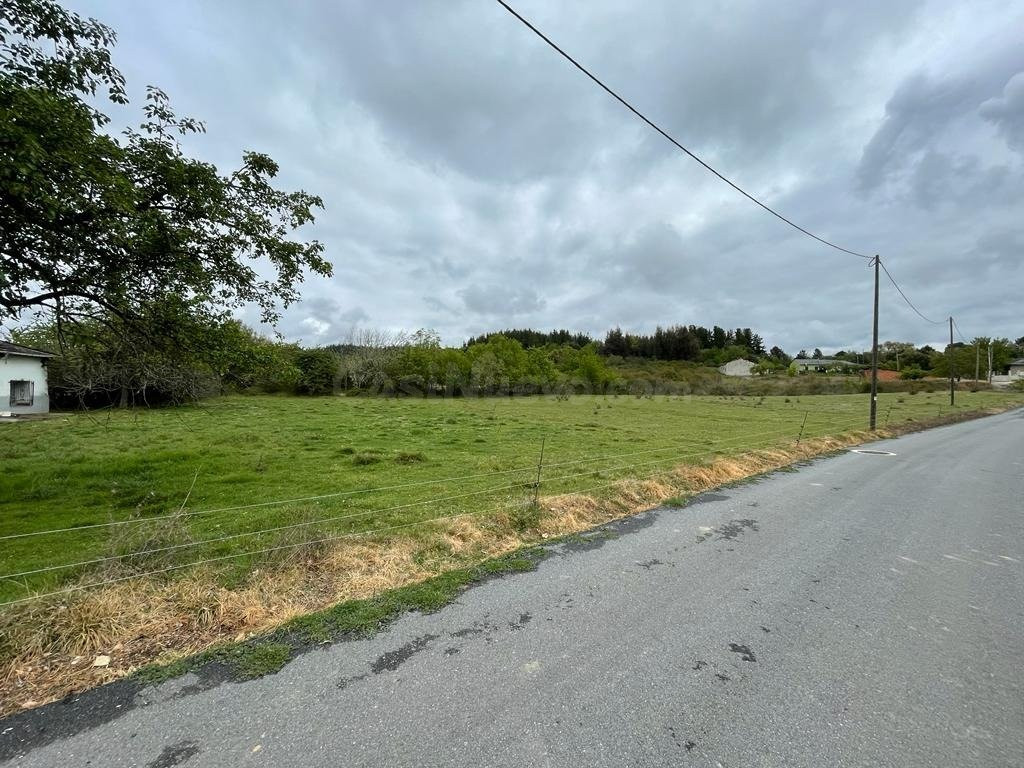 VENTA FINCA URBANA EN CABAÑAS RARAS - foto 4