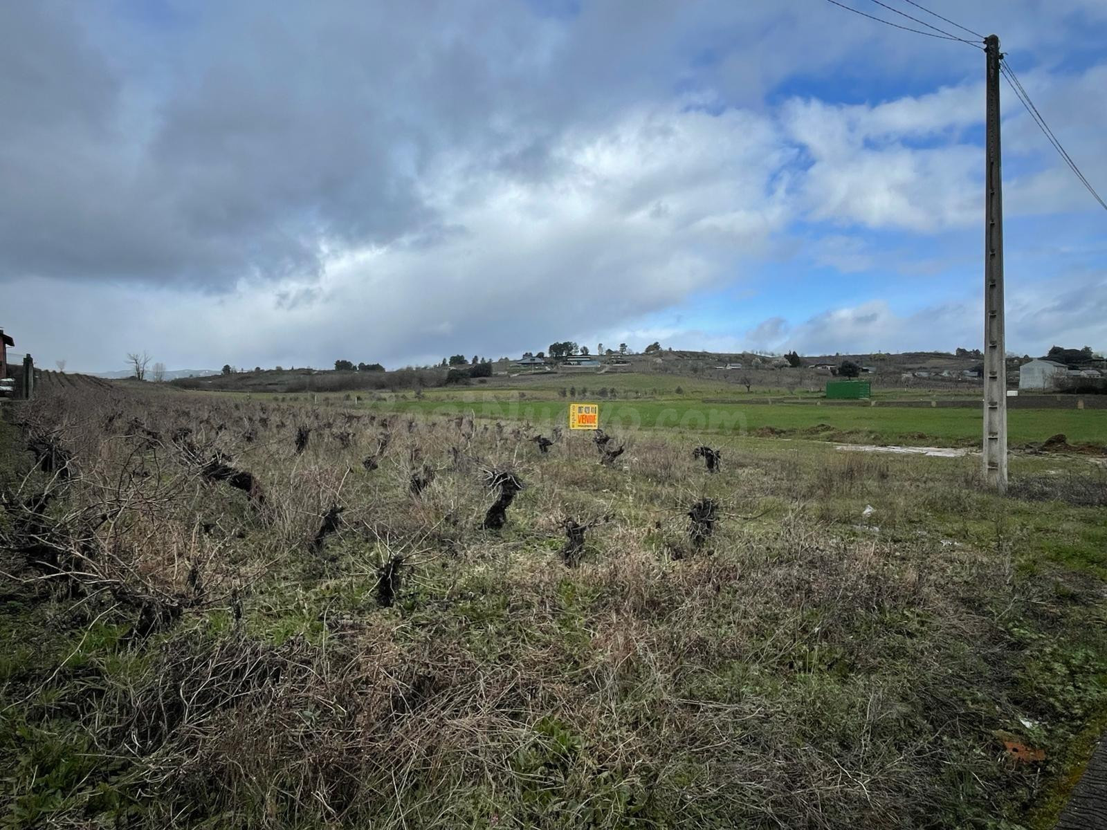 VENTA VIÑA EN LA VALGOMA - foto 2