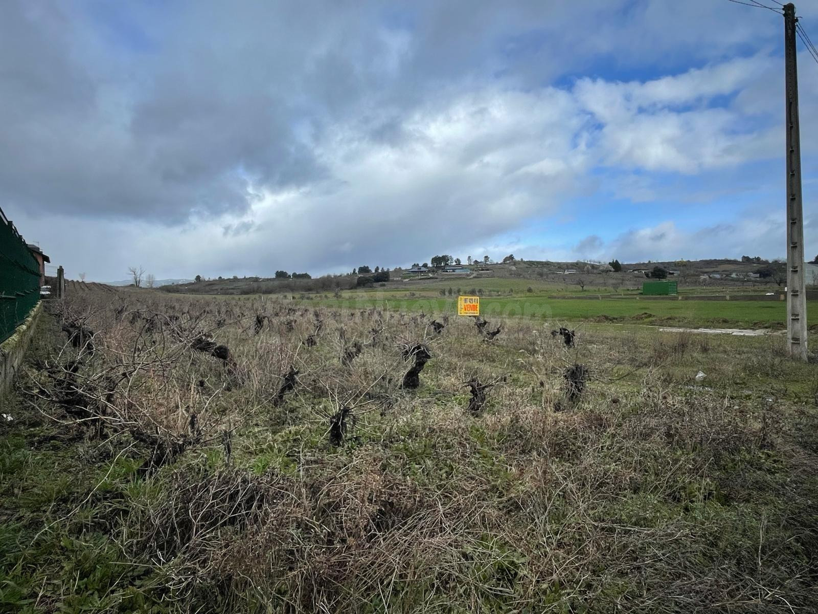 VENTA VIÑA EN LA VALGOMA - foto 3