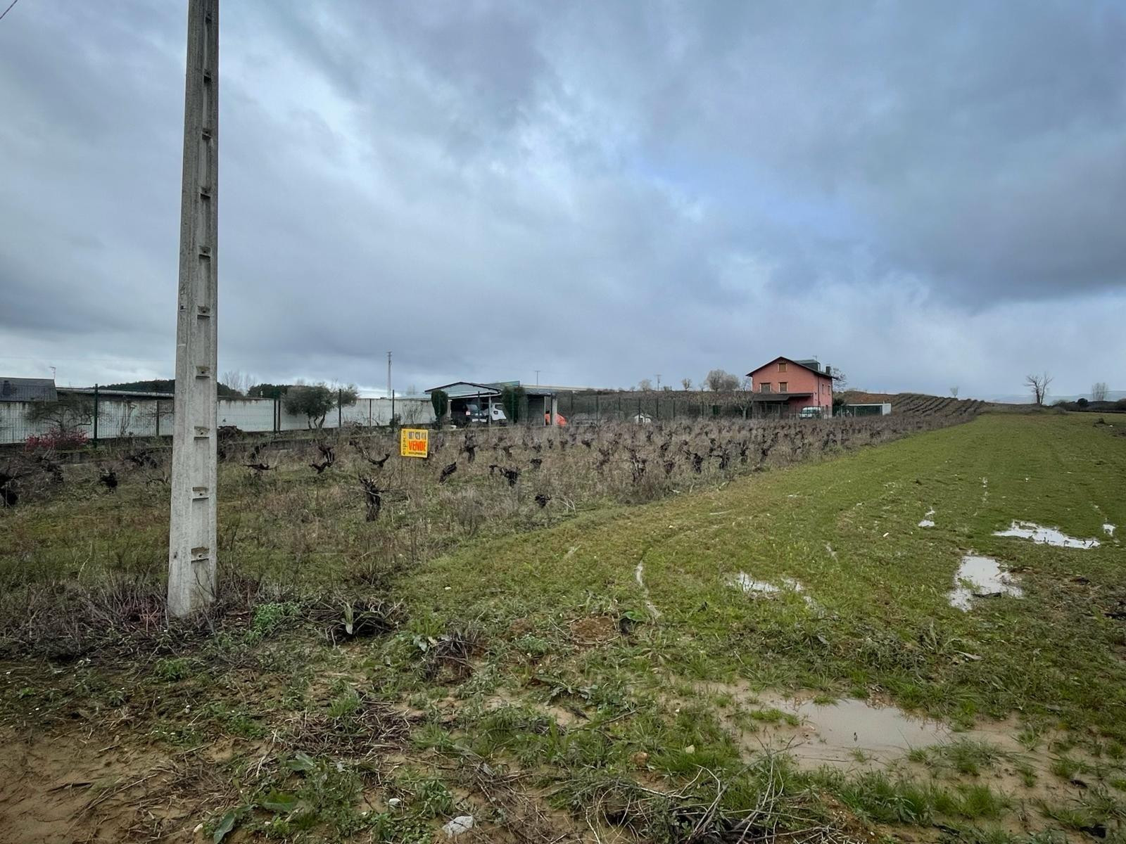 VENTA VIÑA EN LA VALGOMA - foto 5