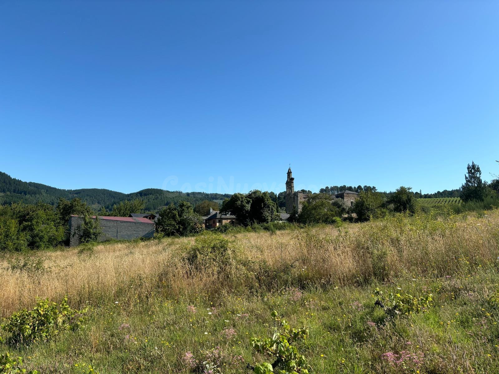 VENTA FINCA URBANA EN ARGANZA - foto 2
