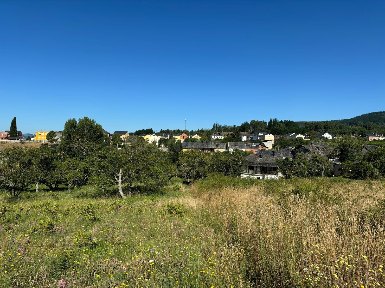 VENTA FINCA URBANA EN ARGANZA - foto 3