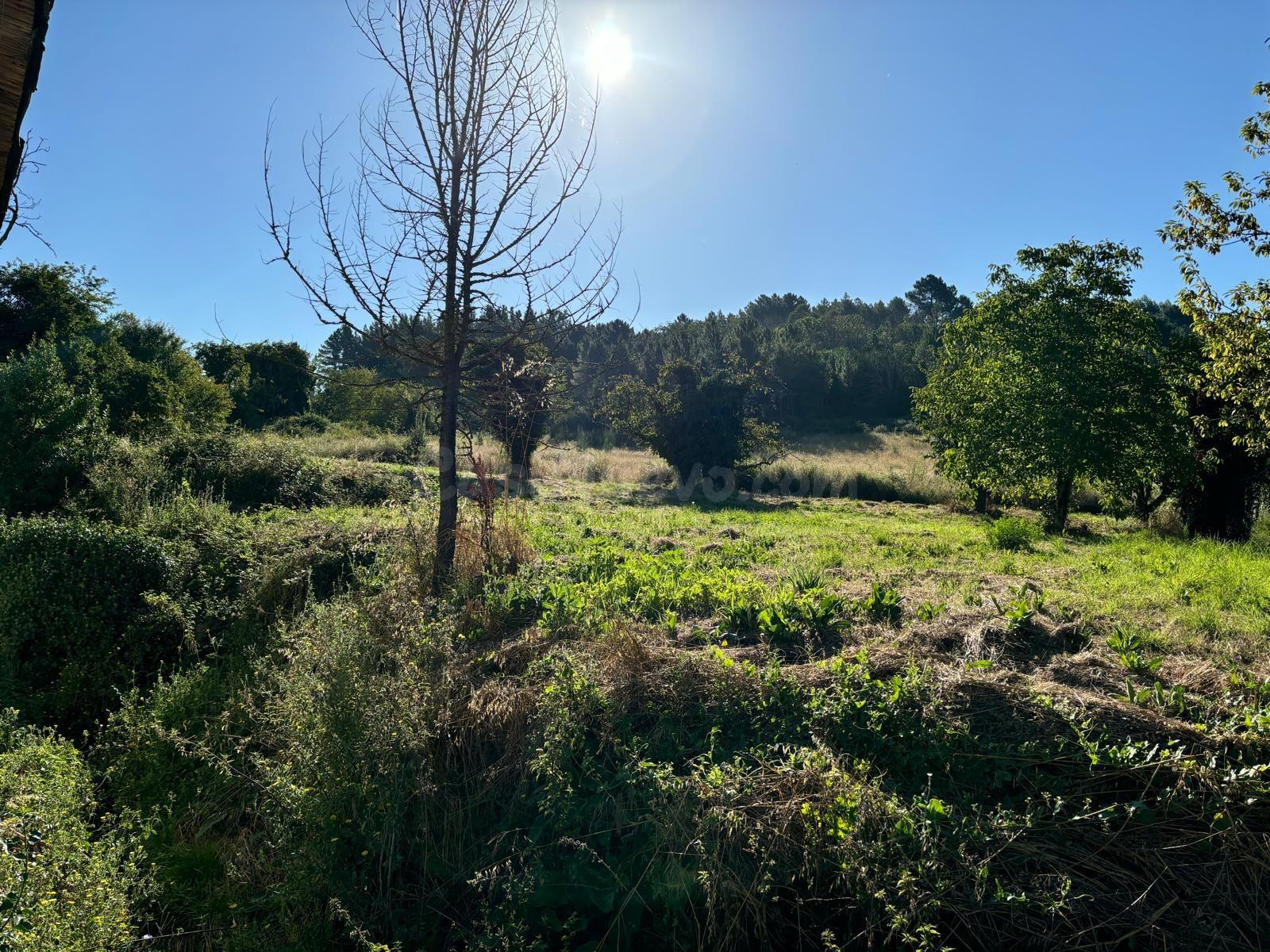 VENTA FINCA URBANA EN ARGANZA - foto 5
