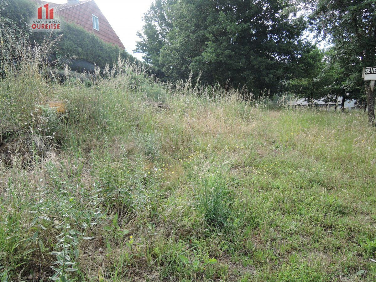FINCA URBANIZABLE EN PEREIRO CON EXCELENTES VISTAS