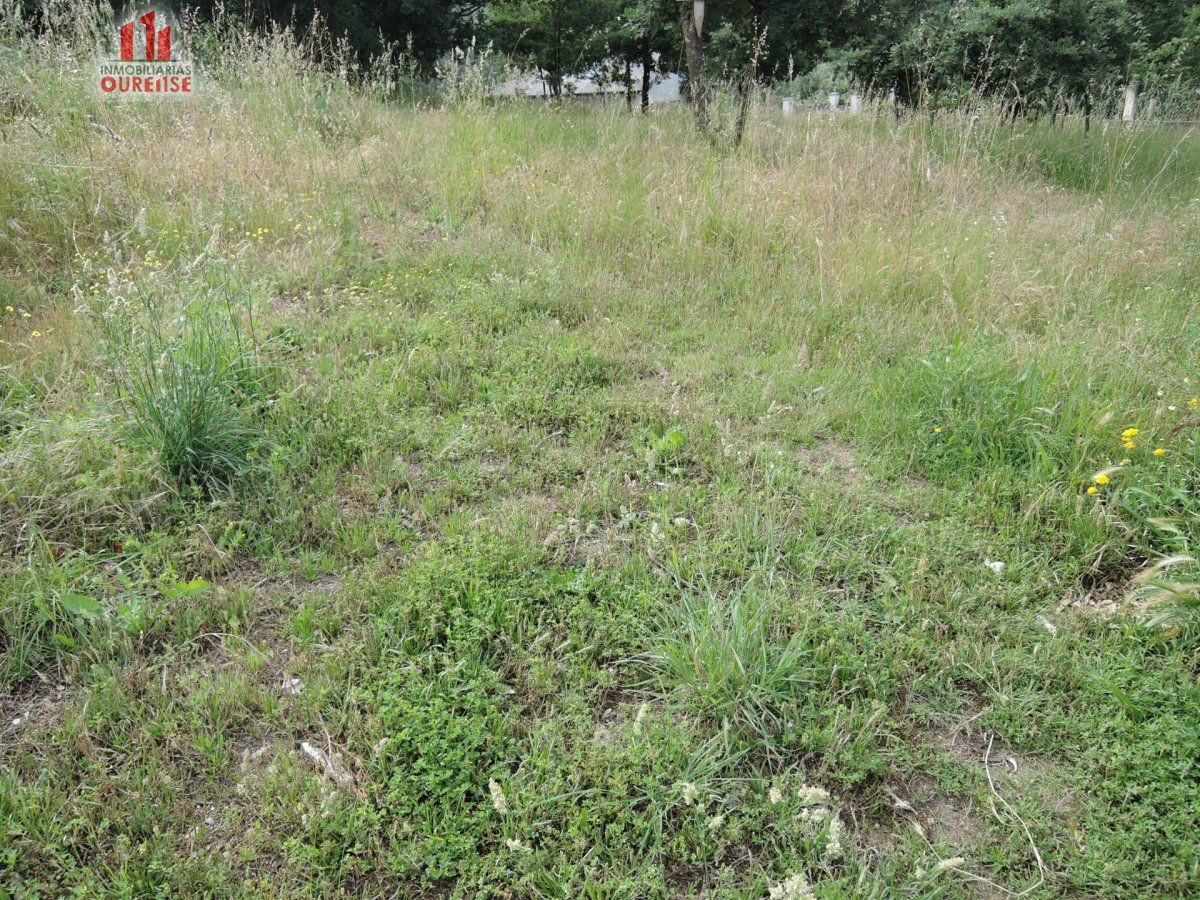 FINCA URBANIZABLE EN PEREIRO CON EXCELENTES VISTAS - foto 2