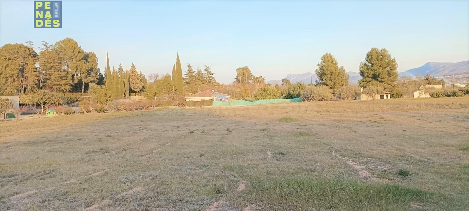 Parcela en venta - Foya La Perera - foto 3