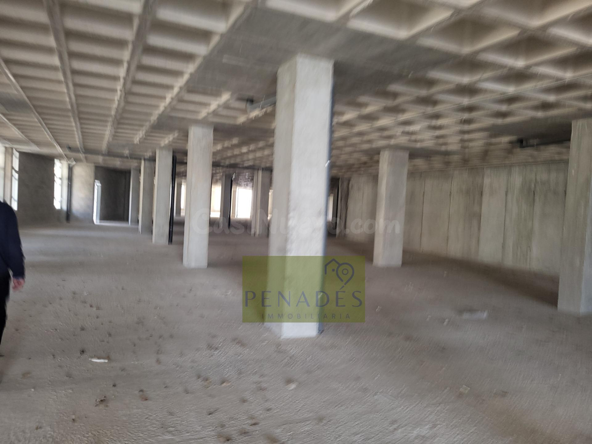 LOCAL COMERCIAL CON MAS DE NOVENTA PLAZAS DE APARCAMIENTO. - foto 2